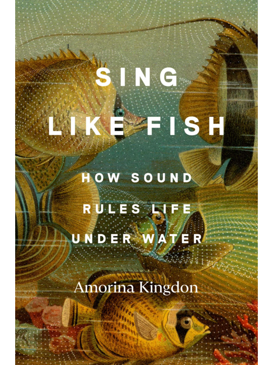 Sing Like Fish